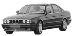 BMW E34 C2004 Fault Code