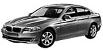 BMW F10 C2004 Fault Code
